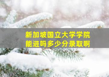 新加坡国立大学学院能进吗多少分录取啊