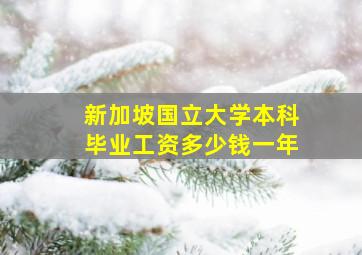 新加坡国立大学本科毕业工资多少钱一年