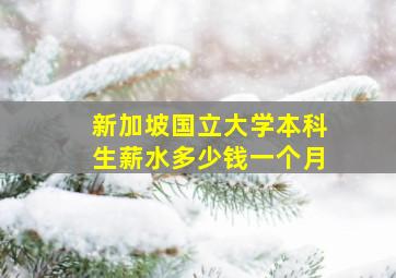 新加坡国立大学本科生薪水多少钱一个月