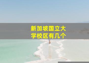 新加坡国立大学校区有几个