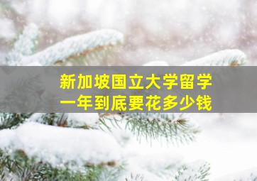 新加坡国立大学留学一年到底要花多少钱