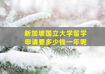 新加坡国立大学留学申请要多少钱一年呢