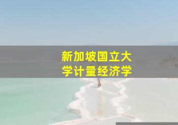 新加坡国立大学计量经济学