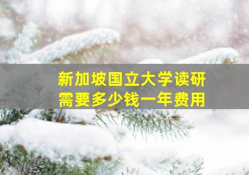 新加坡国立大学读研需要多少钱一年费用