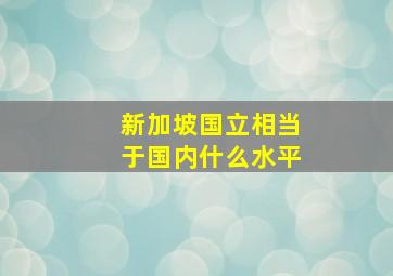 新加坡国立相当于国内什么水平