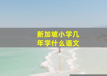 新加坡小学几年学什么语文