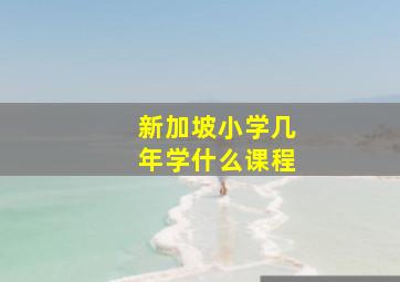 新加坡小学几年学什么课程