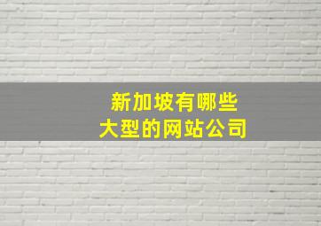 新加坡有哪些大型的网站公司