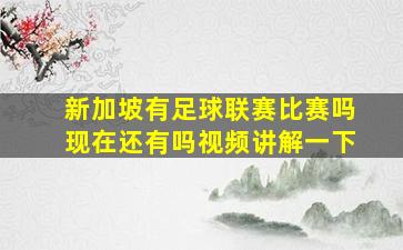 新加坡有足球联赛比赛吗现在还有吗视频讲解一下