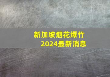 新加坡烟花爆竹2024最新消息