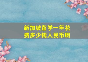 新加坡留学一年花费多少钱人民币啊