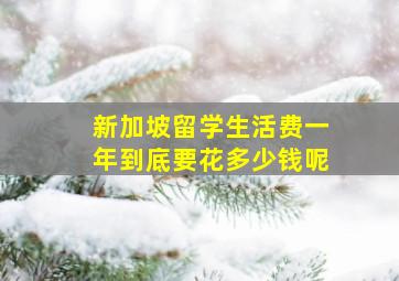 新加坡留学生活费一年到底要花多少钱呢