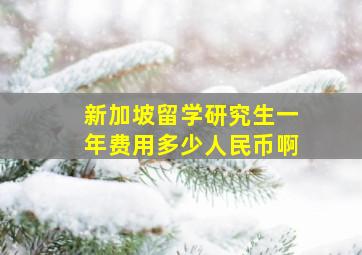 新加坡留学研究生一年费用多少人民币啊