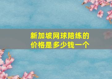 新加坡网球陪练的价格是多少钱一个