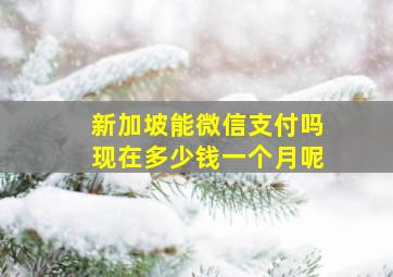 新加坡能微信支付吗现在多少钱一个月呢