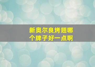 新奥尔良烤翅哪个牌子好一点啊