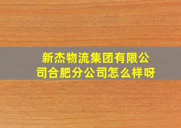 新杰物流集团有限公司合肥分公司怎么样呀