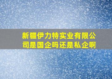 新疆伊力特实业有限公司是国企吗还是私企啊