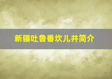 新疆吐鲁番坎儿井简介