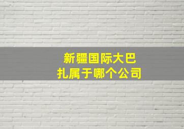 新疆国际大巴扎属于哪个公司