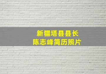 新疆塔县县长陈志峰简历照片