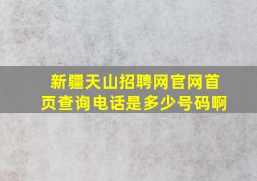 新疆天山招聘网官网首页查询电话是多少号码啊