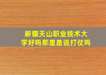 新疆天山职业技术大学好吗那里是说打仗吗