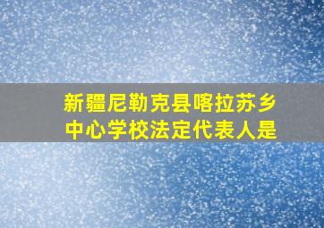 新疆尼勒克县喀拉苏乡中心学校法定代表人是