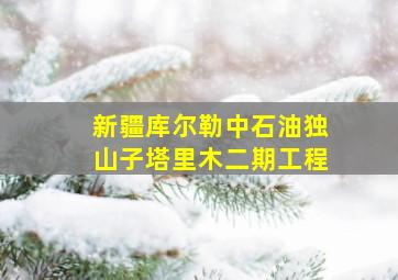 新疆库尔勒中石油独山子塔里木二期工程