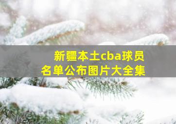 新疆本土cba球员名单公布图片大全集