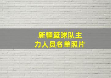 新疆篮球队主力人员名单照片