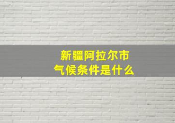 新疆阿拉尔市气候条件是什么