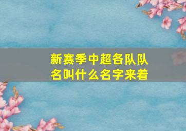 新赛季中超各队队名叫什么名字来着