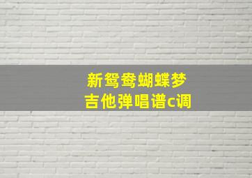 新鸳鸯蝴蝶梦吉他弹唱谱c调