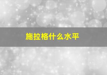 施拉格什么水平