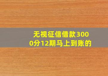 无视征信借款3000分12期马上到账的