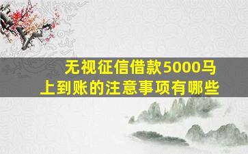 无视征信借款5000马上到账的注意事项有哪些