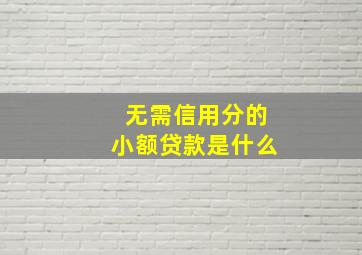 无需信用分的小额贷款是什么