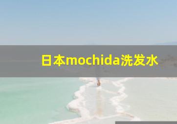 日本mochida洗发水