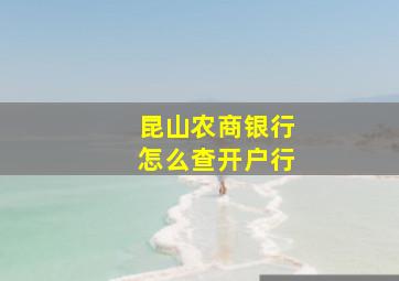 昆山农商银行怎么查开户行