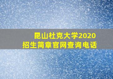 昆山杜克大学2020招生简章官网查询电话