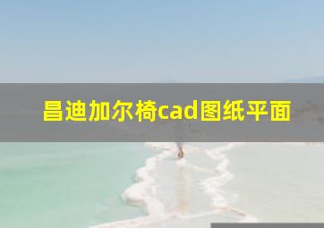 昌迪加尔椅cad图纸平面