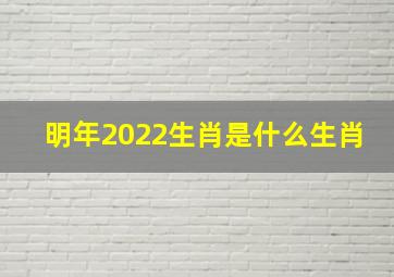 明年2022生肖是什么生肖