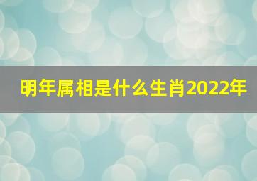 明年属相是什么生肖2022年