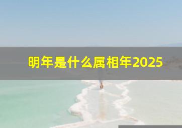 明年是什么属相年2025