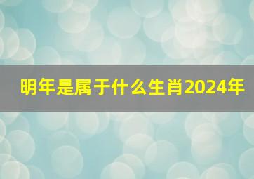 明年是属于什么生肖2024年