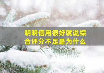 明明信用很好就说综合评分不足是为什么