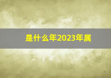 是什么年2023年属