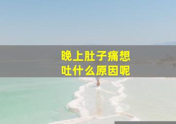 晚上肚子痛想吐什么原因呢