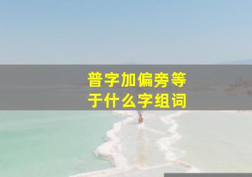 普字加偏旁等于什么字组词